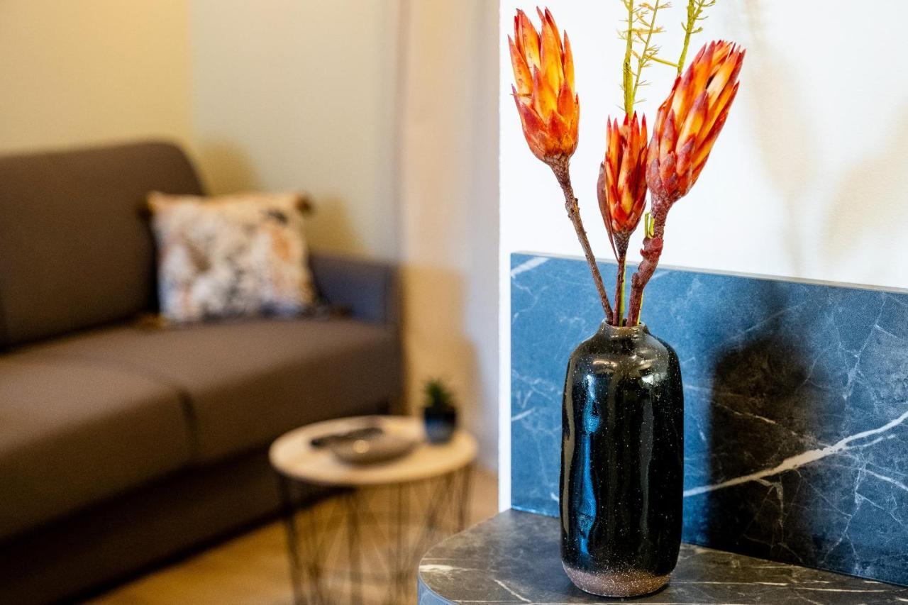 Appart. T 1 Bis, Centre Ville, Entierement Renove Lourdes Eksteriør billede